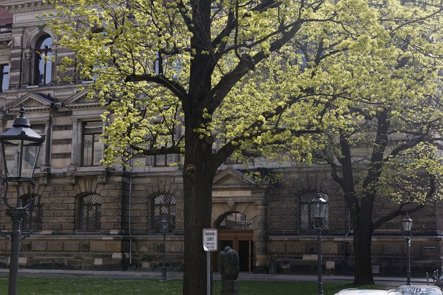 CG Pic 2016-04-13 4388DXO