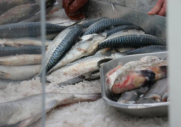 Fischmarkt Fischmarkt